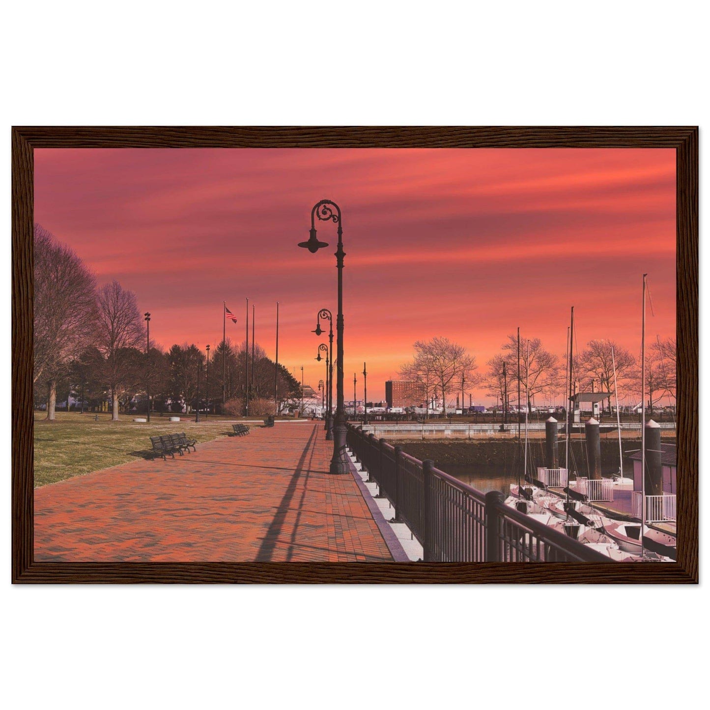 Scenic Park Tamarind Sky Matte Paper Wooden Frame New York City Wall Art Home Office Business Commercial Decor Pixio.Co - Pixio.Co