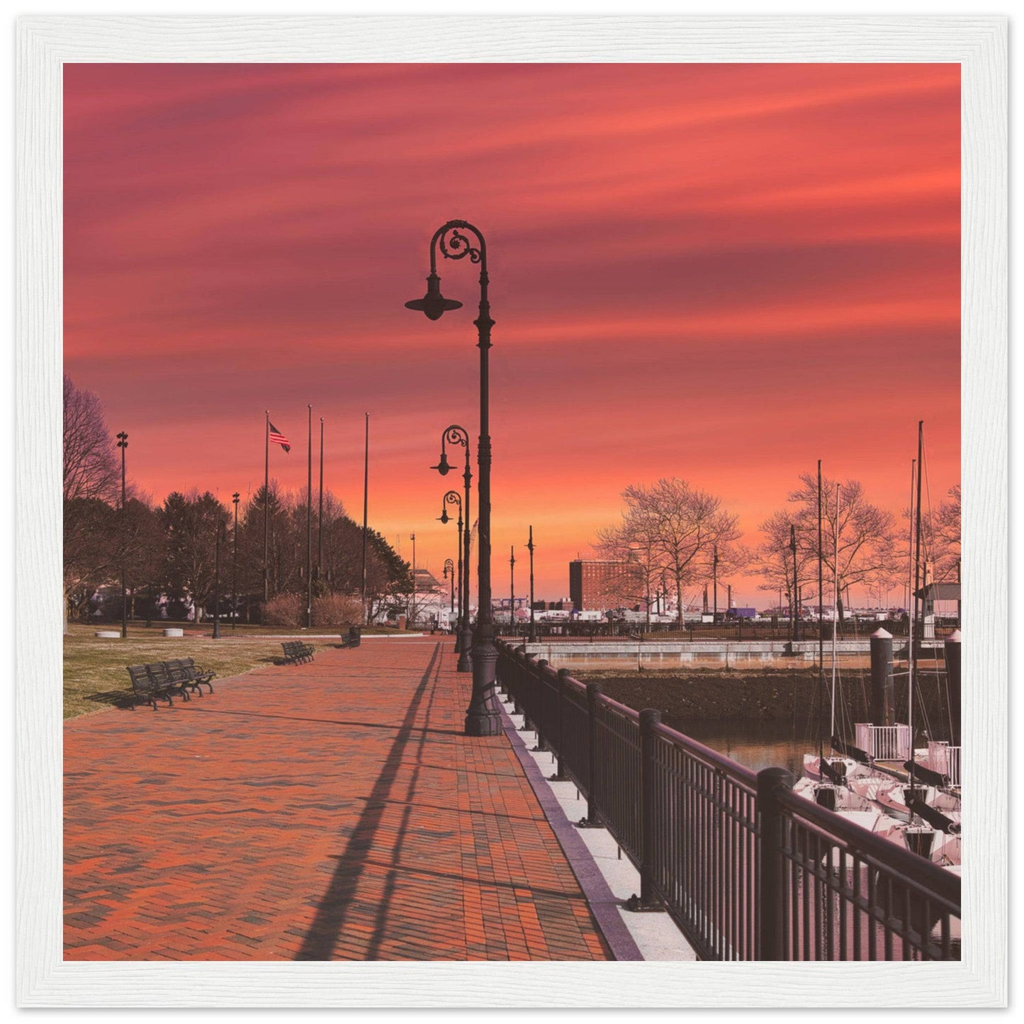 Scenic Park Tamarind Sky Matte Paper Wooden Frame New York City Wall Art Home Office Business Commercial Decor Pixio.Co - Pixio.Co