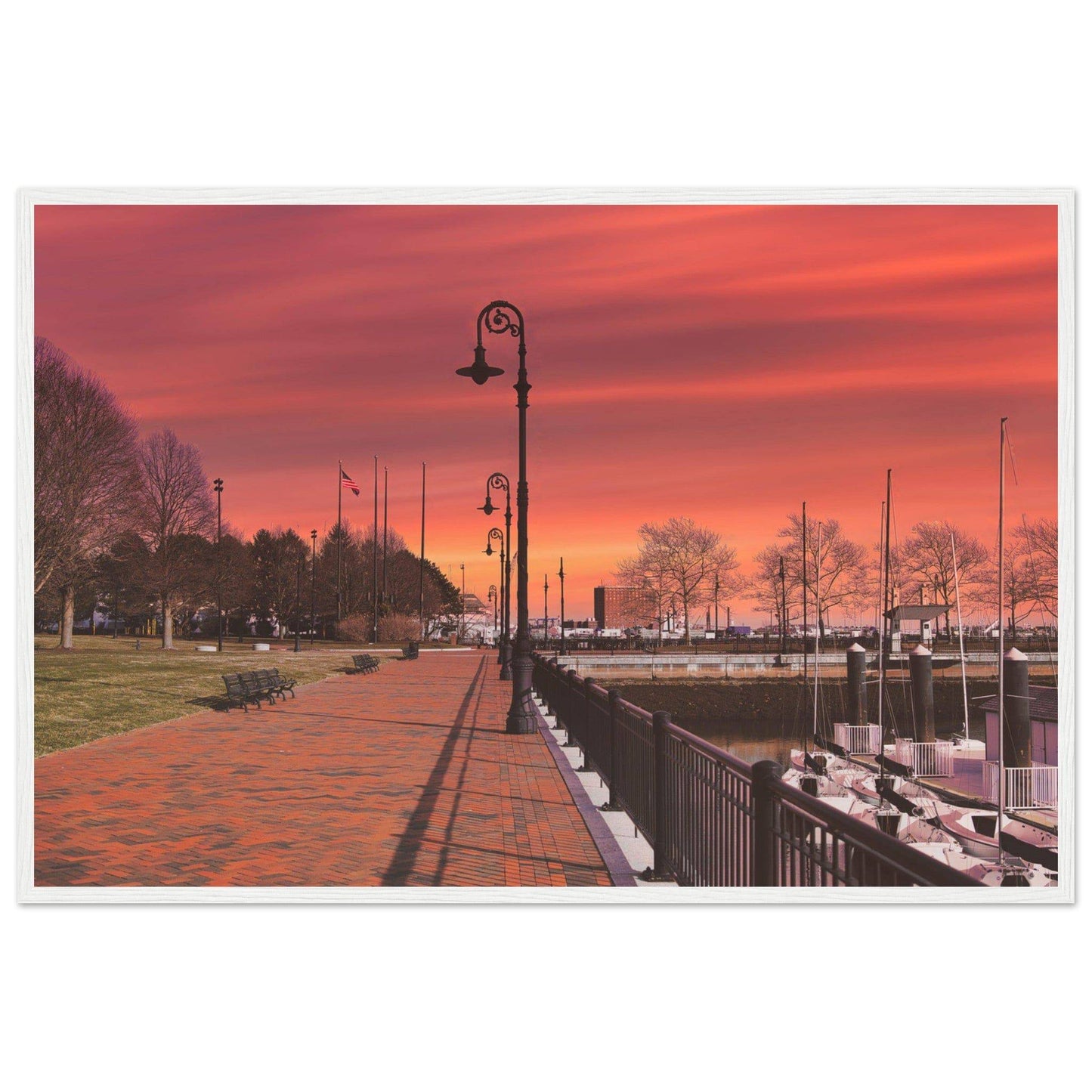 Scenic Park Tamarind Sky Matte Paper Wooden Frame New York City Wall Art Home Office Business Commercial Decor Pixio.Co - Pixio.Co