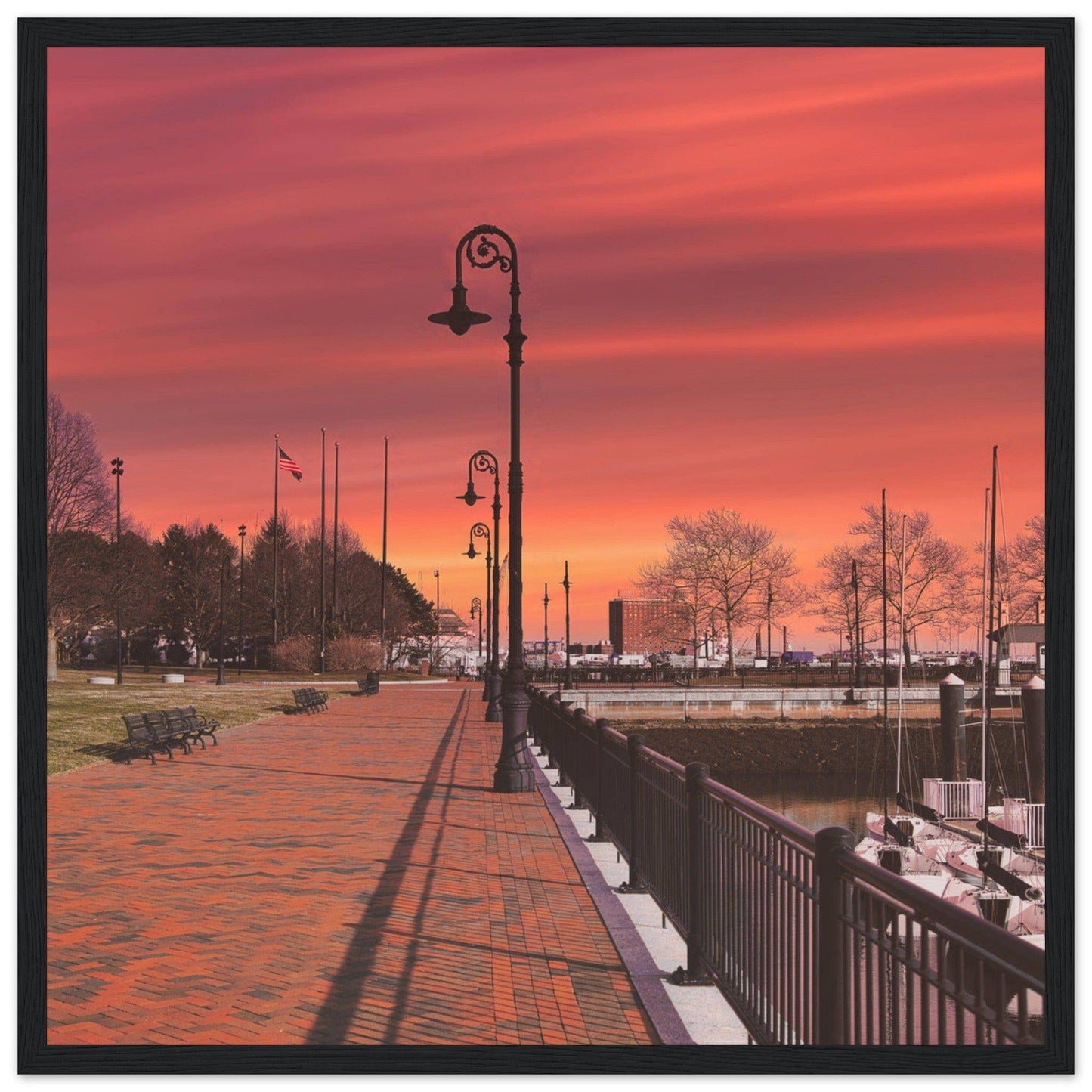 Scenic Park Tamarind Sky Matte Paper Wooden Frame New York City Wall Art Home Office Business Commercial Decor Pixio.Co - Pixio.Co