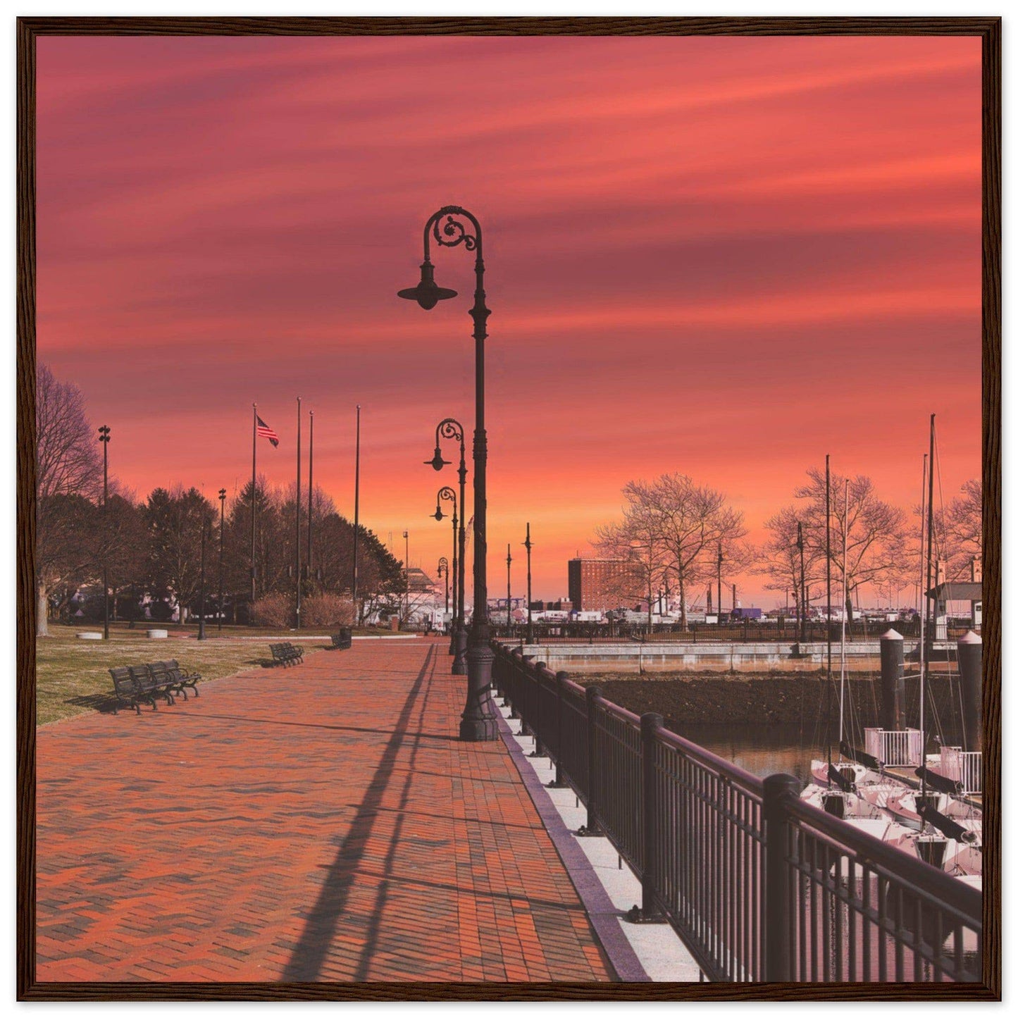 Scenic Park Tamarind Sky Matte Paper Wooden Frame New York City Wall Art Home Office Business Commercial Decor Pixio.Co - Pixio.Co