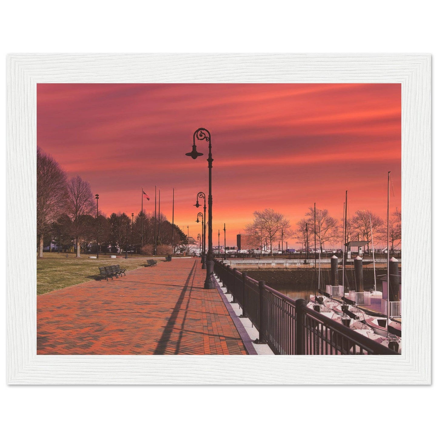 Scenic Park Tamarind Sky Matte Paper Wooden Frame New York City Wall Art Home Office Business Commercial Decor Pixio.Co - Pixio.Co