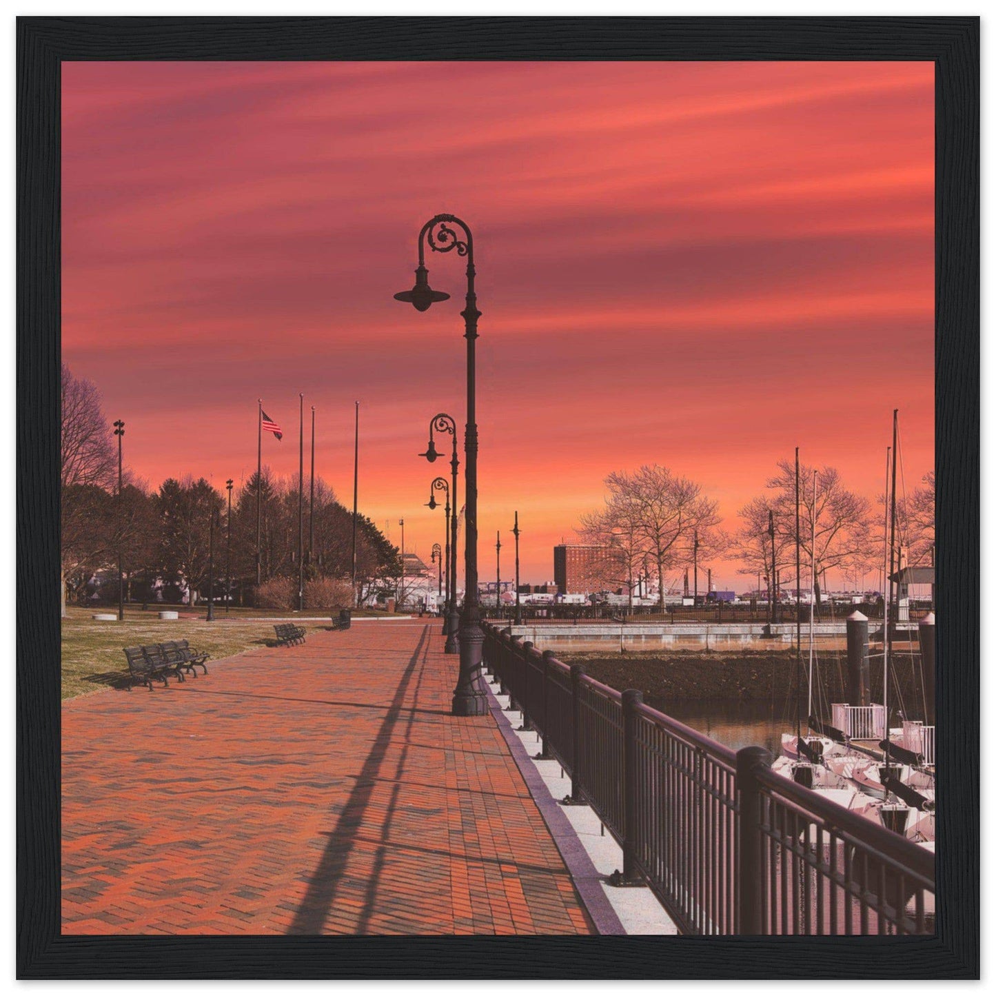 Scenic Park Tamarind Sky Matte Paper Wooden Frame New York City Wall Art Home Office Business Commercial Decor Pixio.Co - Pixio.Co