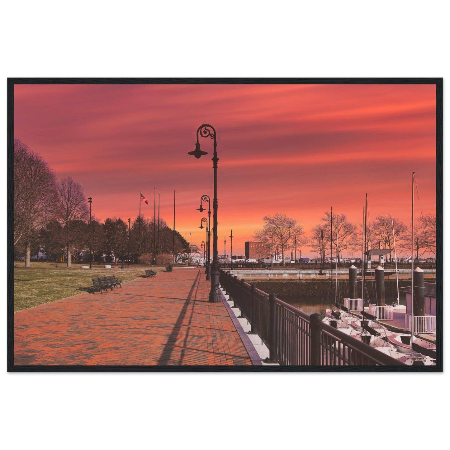 Scenic Park Tamarind Sky Matte Paper Wooden Frame New York City Wall Art Home Office Business Commercial Decor Pixio.Co - Pixio.Co