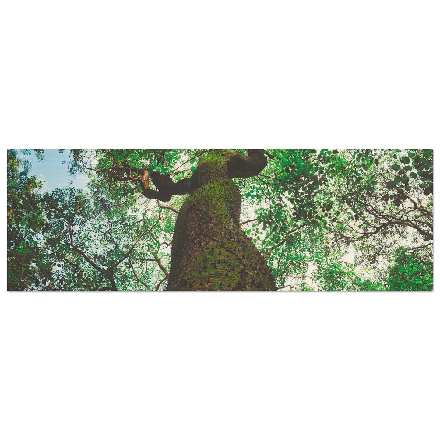 Three Eyes Tree Premium Wood Prints Dominican Wall Art Home Office Business Commercial Decor Pixio.Co - Pixio.Co