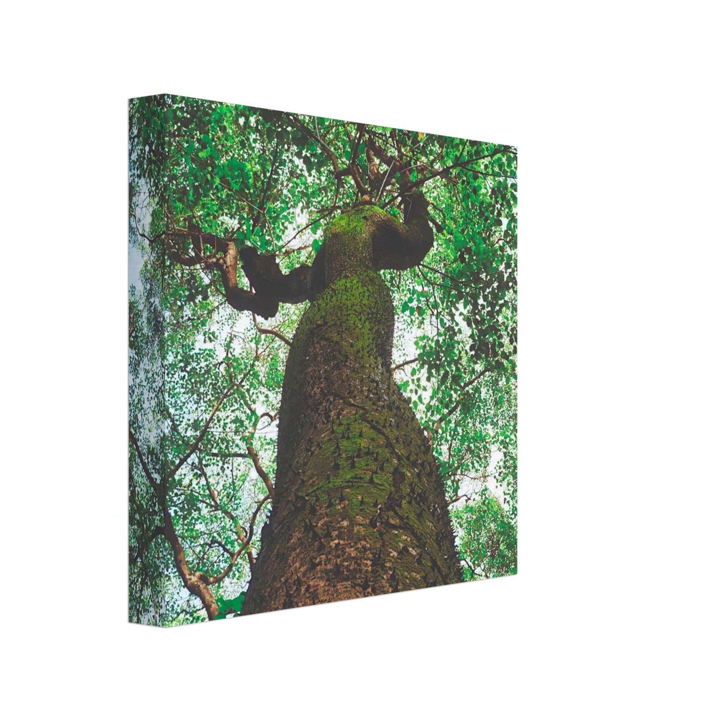 Three Eyes Tree Canvas Wall Art Home Business Commercial Decor Pixio.Co - Pixio.Co