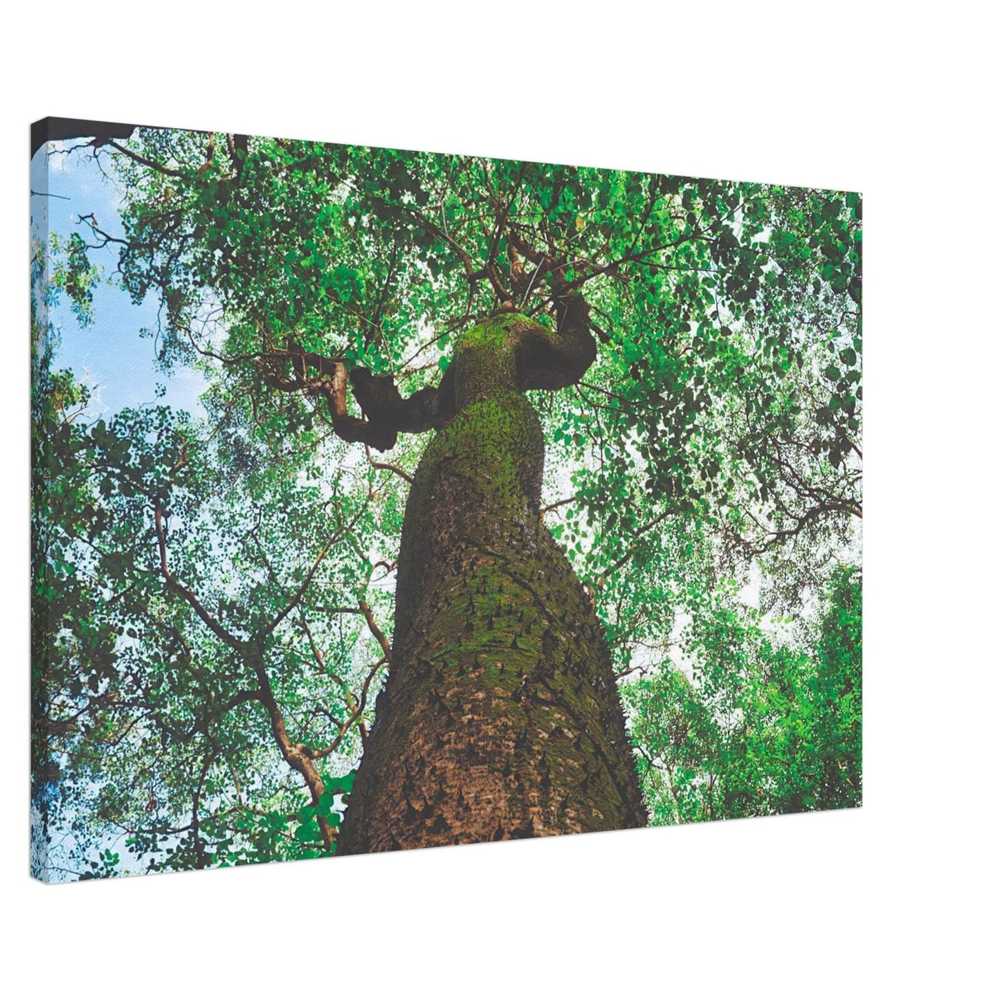 Three Eyes Tree Canvas Wall Art Home Business Commercial Decor Pixio.Co - Pixio.Co