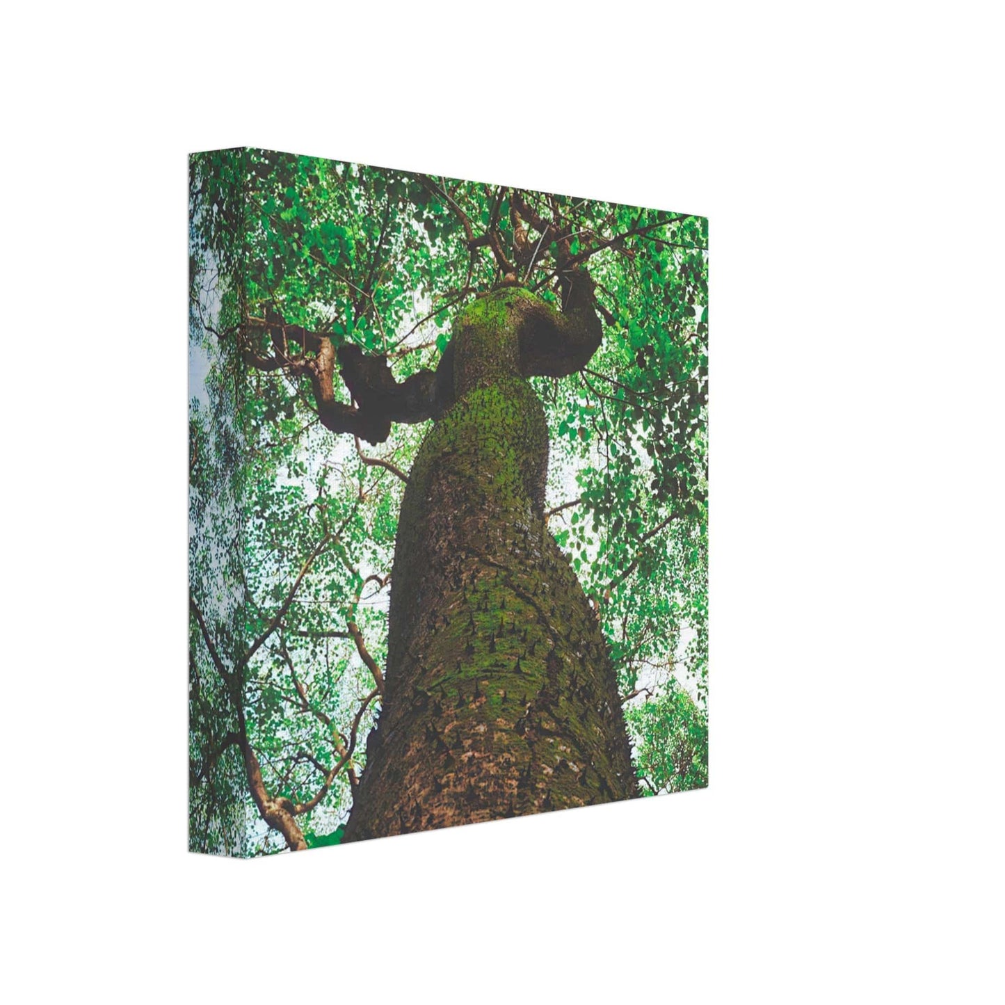Three Eyes Tree Canvas Wall Art Home Business Commercial Decor Pixio.Co - Pixio.Co