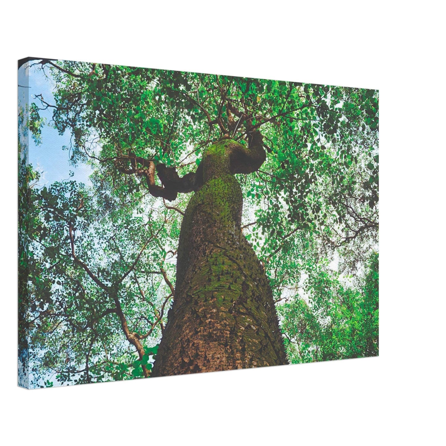 Three Eyes Tree Canvas Wall Art Home Business Commercial Decor Pixio.Co - Pixio.Co