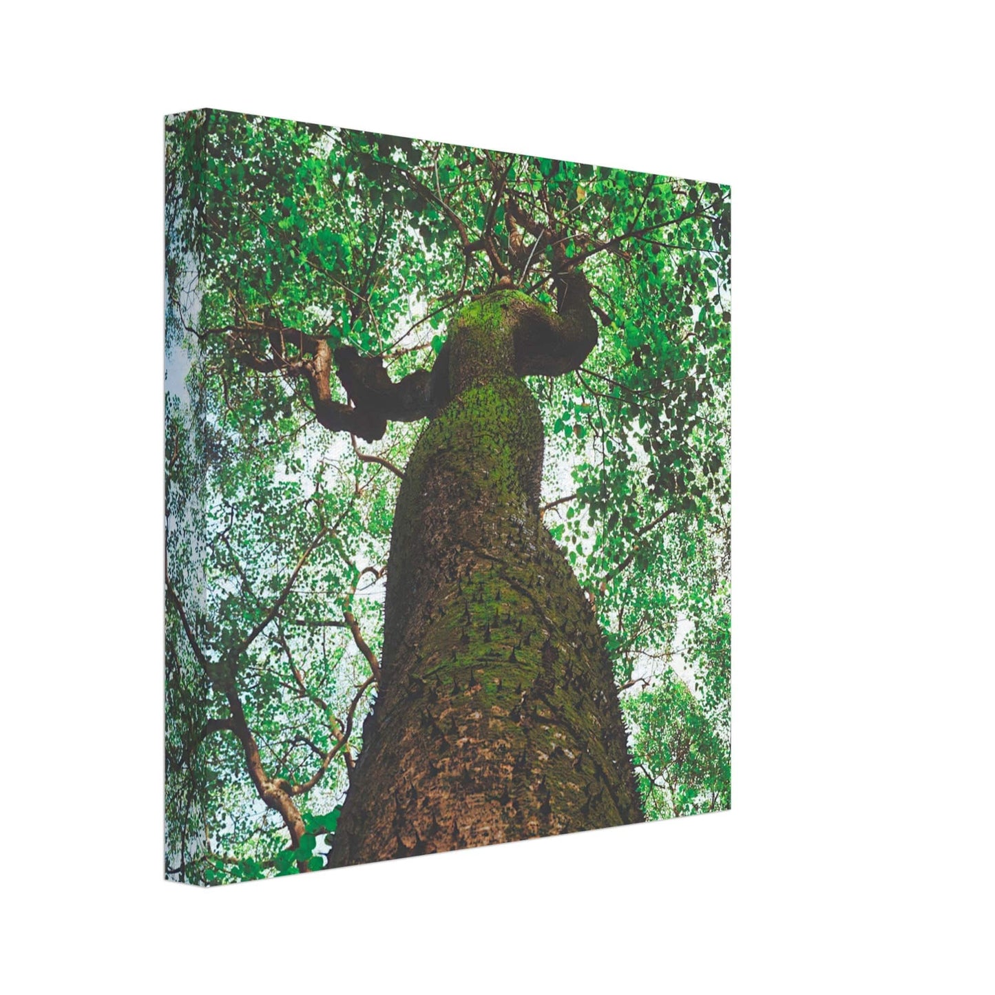 Three Eyes Tree Canvas Wall Art Home Business Commercial Decor Pixio.Co - Pixio.Co