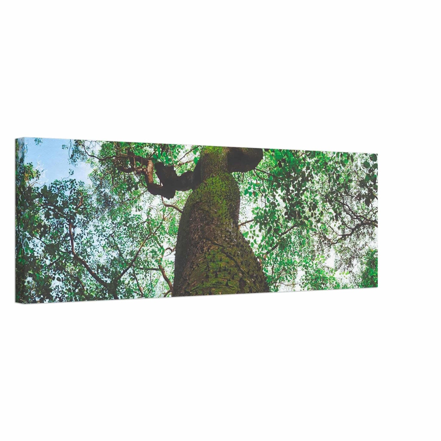 Three Eyes Tree Canvas Wall Art Home Business Commercial Decor Pixio.Co - Pixio.Co