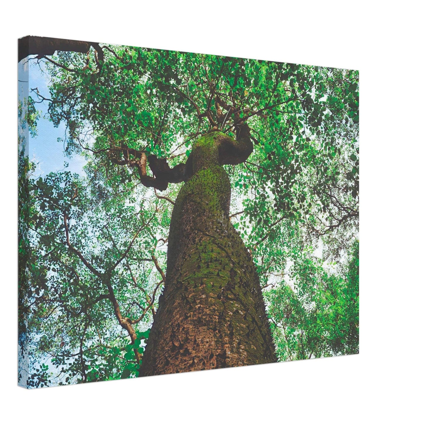 Three Eyes Tree Canvas Wall Art Home Business Commercial Decor Pixio.Co - Pixio.Co