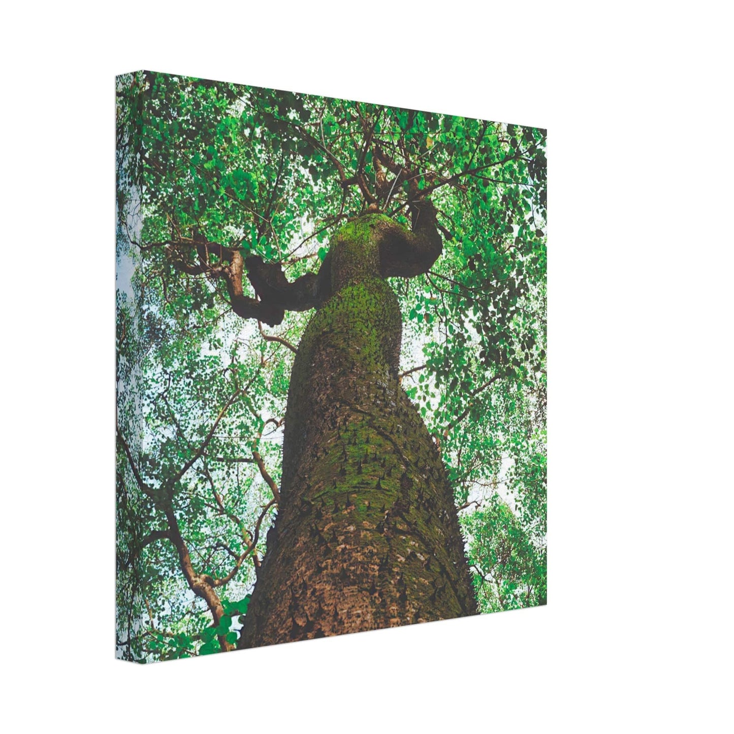 Three Eyes Tree Canvas Wall Art Home Business Commercial Decor Pixio.Co - Pixio.Co