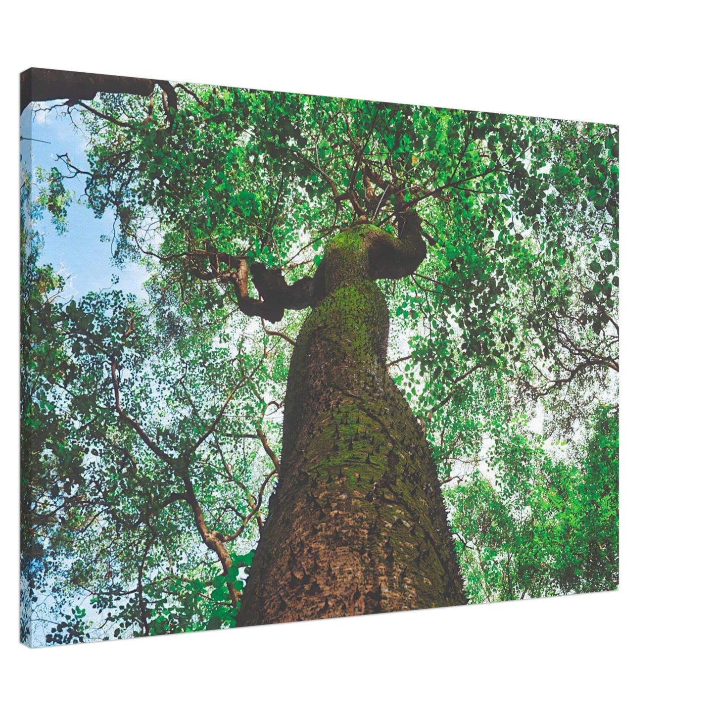 Three Eyes Tree Canvas Wall Art Home Business Commercial Decor Pixio.Co - Pixio.Co