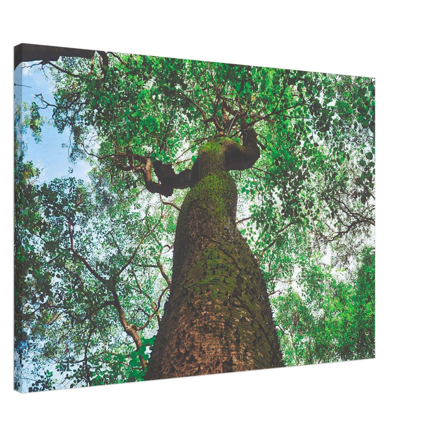 Three Eyes Tree Canvas Wall Art Home Business Commercial Decor Pixio.Co - Pixio.Co