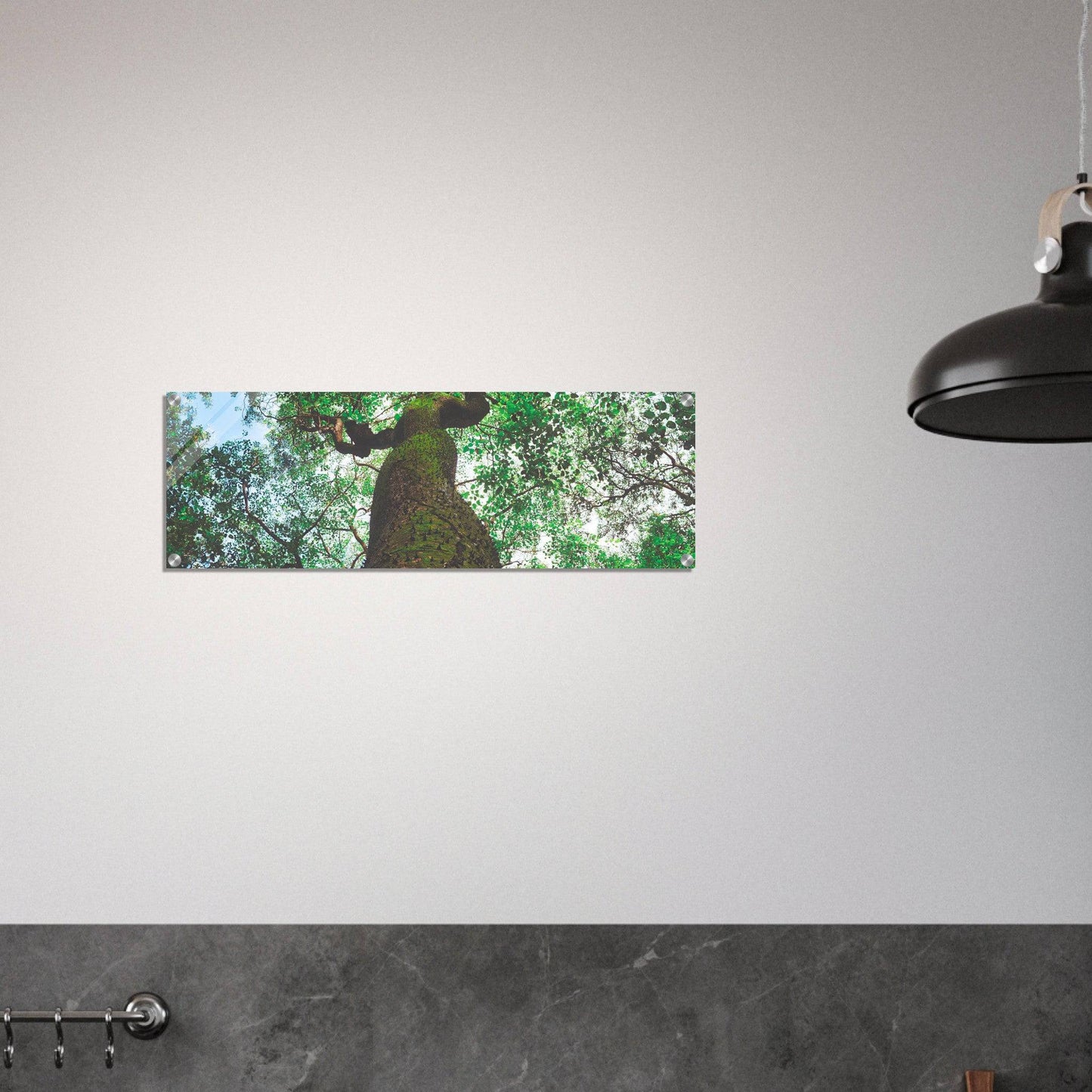 Three Eyes Tree Premium Acrylic Print Nature Wall Art Home Office Business Commercial Decor Pixio.Co - Pixio.Co