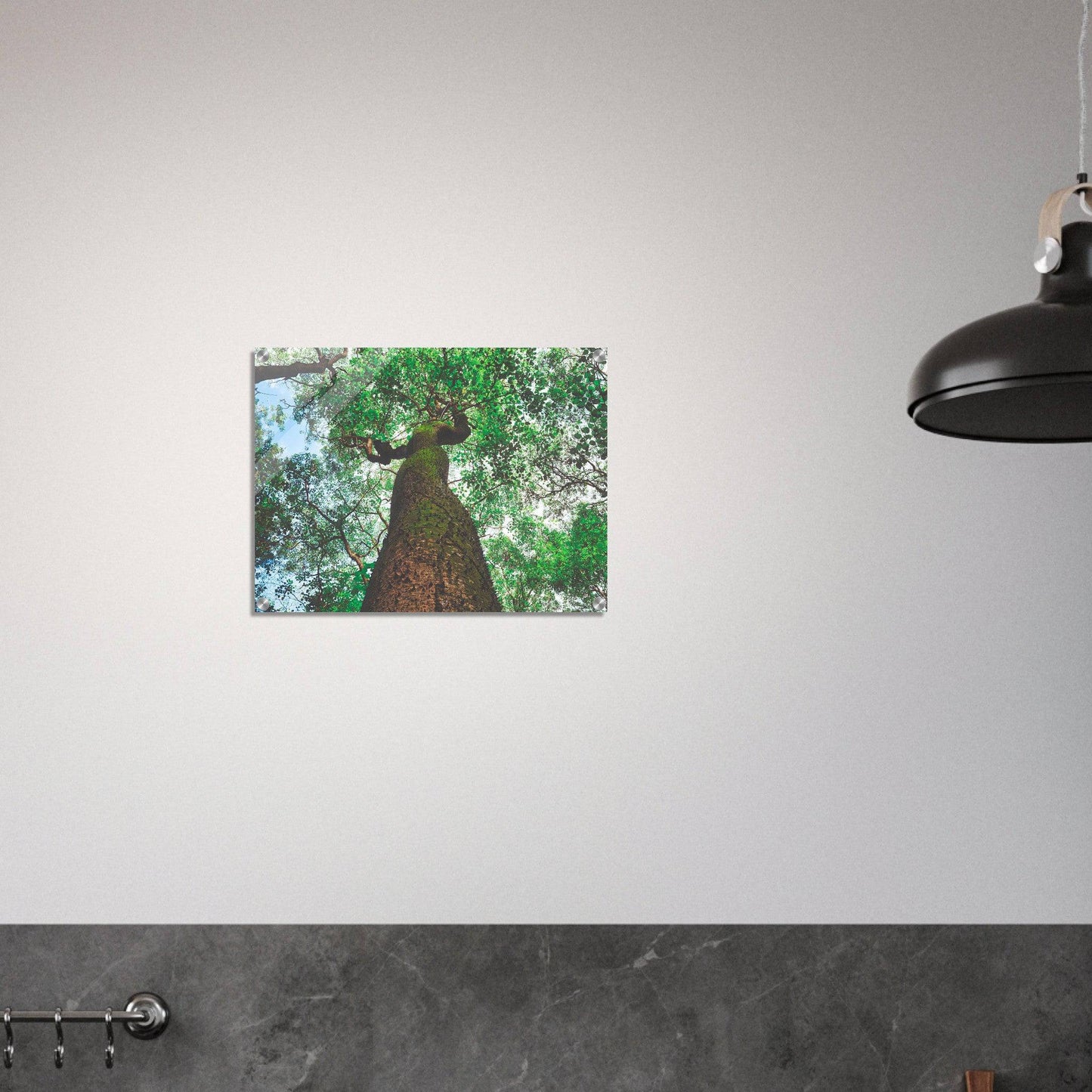 Three Eyes Tree Premium Acrylic Print Nature Wall Art Home Office Business Commercial Decor Pixio.Co - Pixio.Co