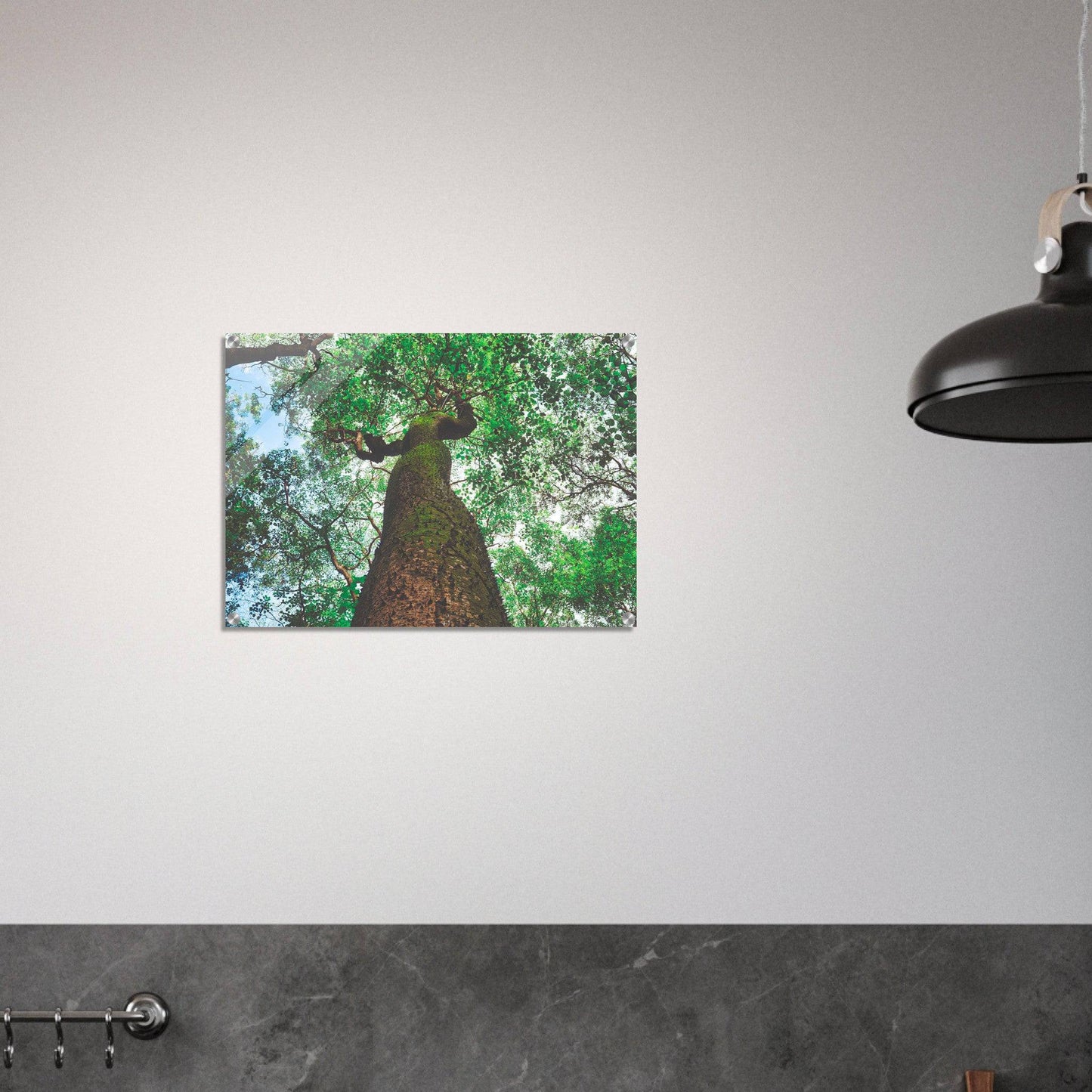 Three Eyes Tree Premium Acrylic Print Nature Wall Art Home Office Business Commercial Decor Pixio.Co - Pixio.Co