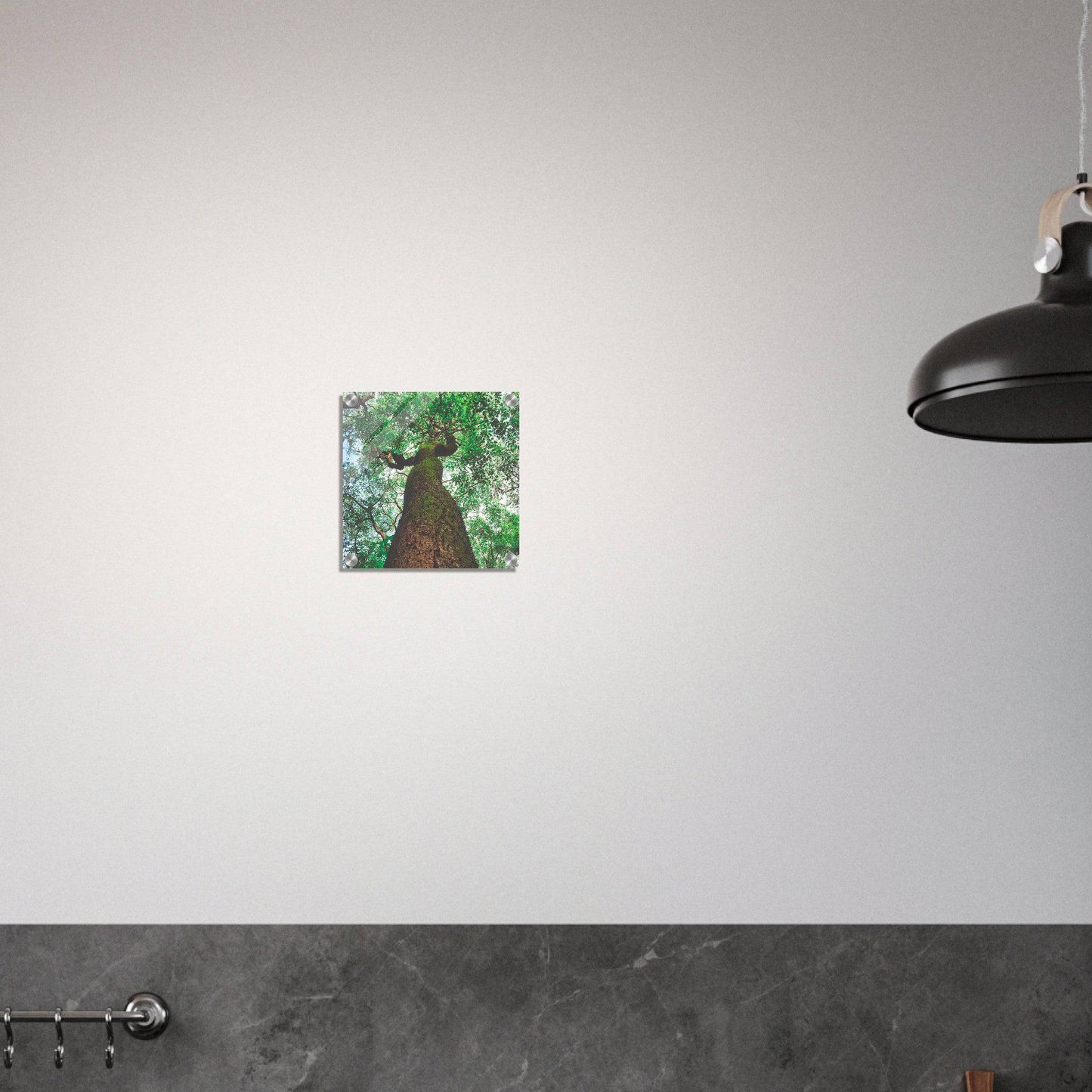 Three Eyes Tree Premium Acrylic Print Nature Wall Art Home Office Business Commercial Decor Pixio.Co - Pixio.Co