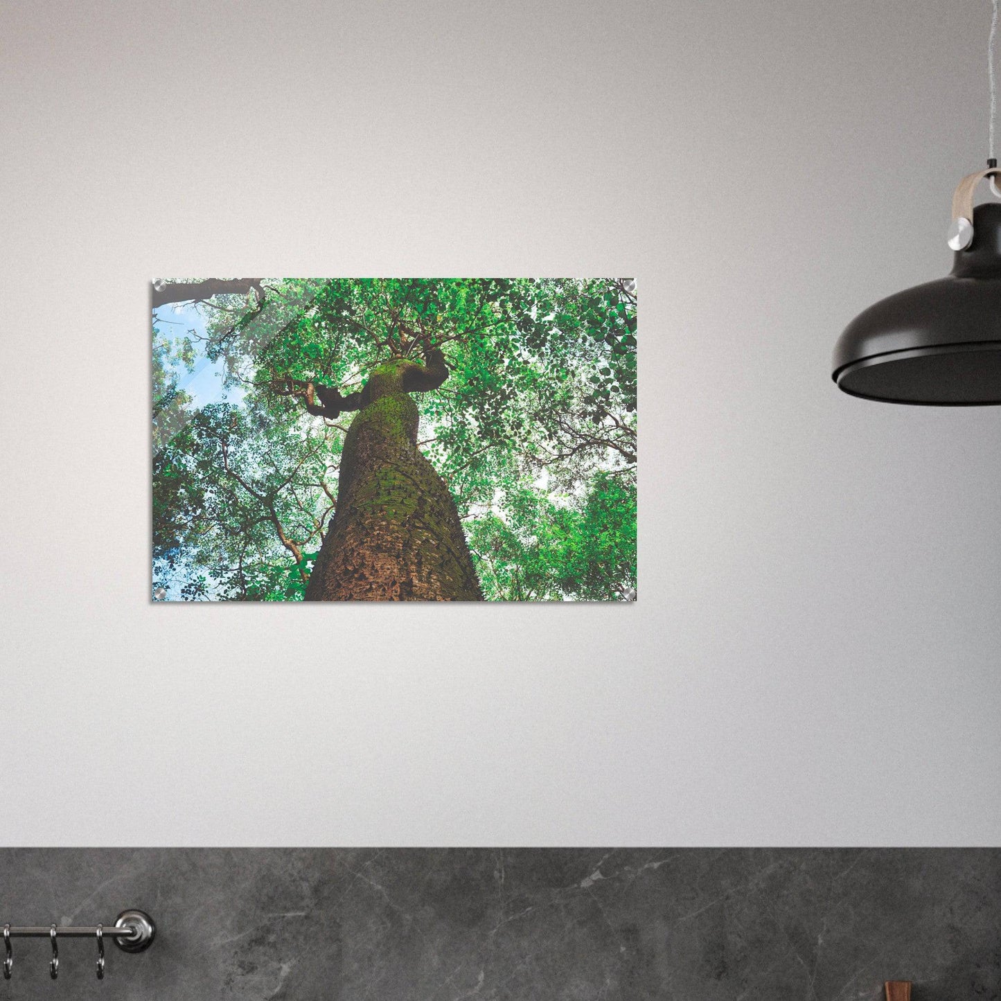 Three Eyes Tree Premium Acrylic Print Nature Wall Art Home Office Business Commercial Decor Pixio.Co - Pixio.Co