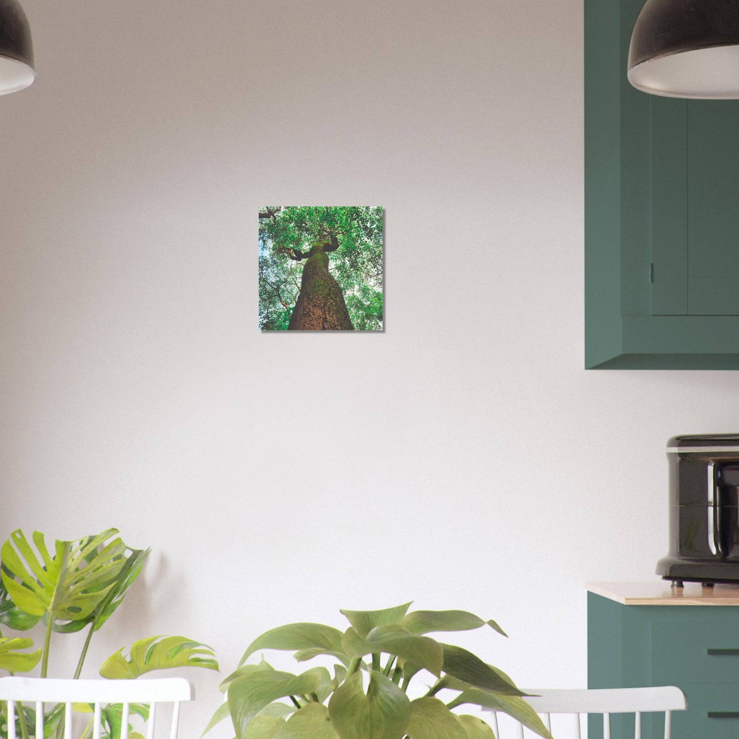 Three Eyes Tree Premium Aluminum Print Dominican Wall Art Home Office Business Commercial Decor Pixio.Co - Pixio.Co
