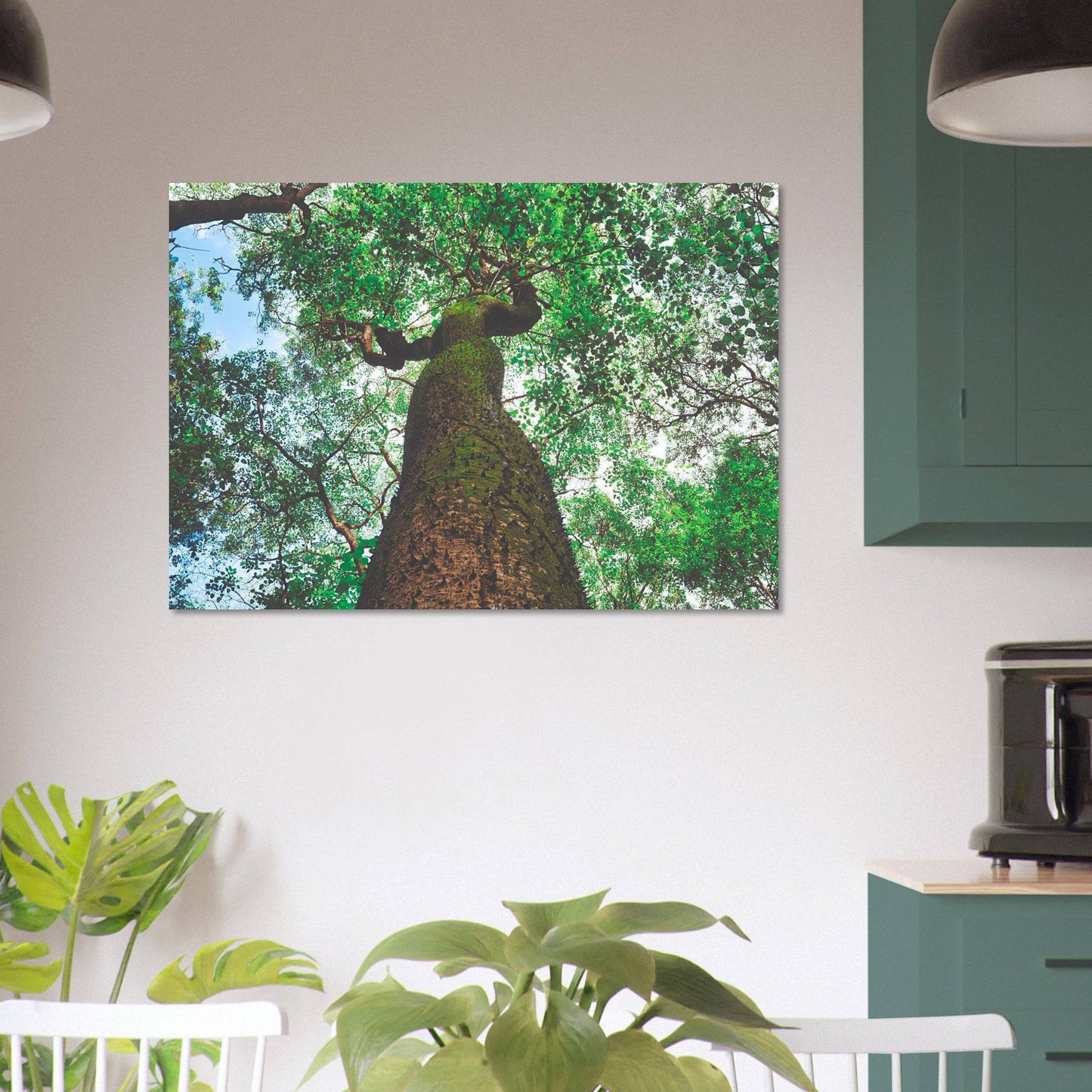 Three Eyes Tree Premium Aluminum Print Dominican Wall Art Home Office Business Commercial Decor Pixio.Co - Pixio.Co