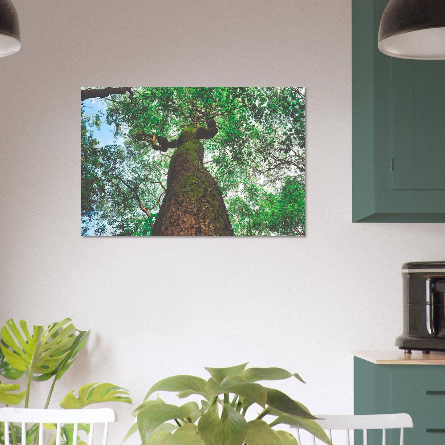 Three Eyes Tree Premium Aluminum Print Dominican Wall Art Home Office Business Commercial Decor Pixio.Co - Pixio.Co