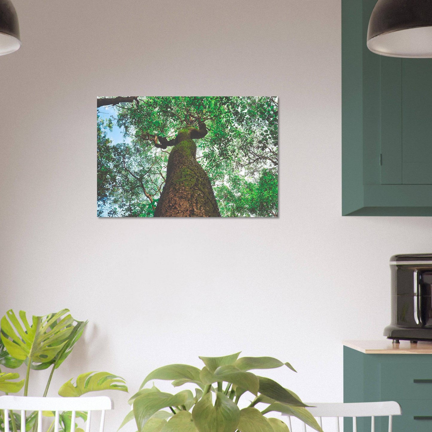Three Eyes Tree Premium Aluminum Print Dominican Wall Art Home Office Business Commercial Decor Pixio.Co - Pixio.Co