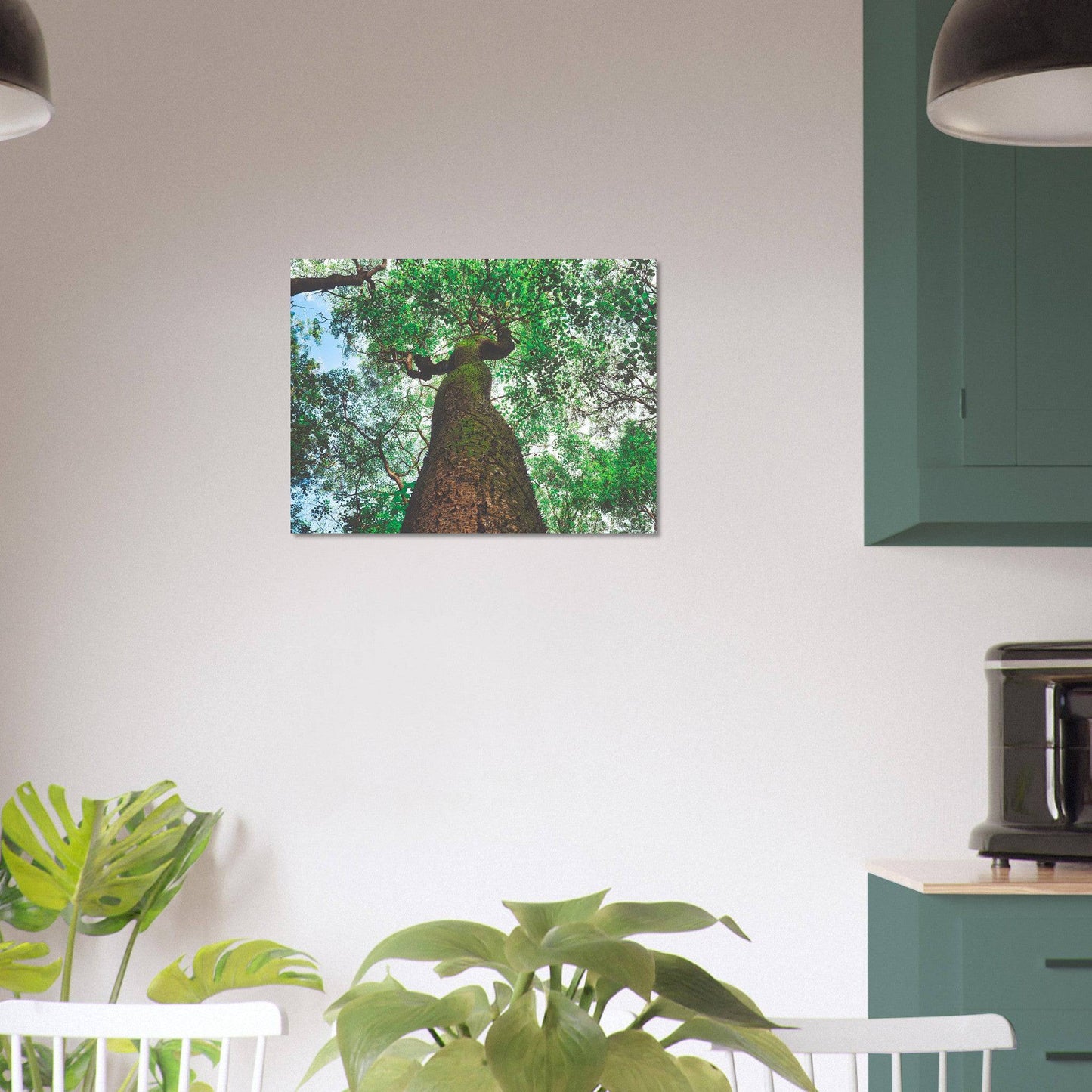 Three Eyes Tree Premium Aluminum Print Dominican Wall Art Home Office Business Commercial Decor Pixio.Co - Pixio.Co