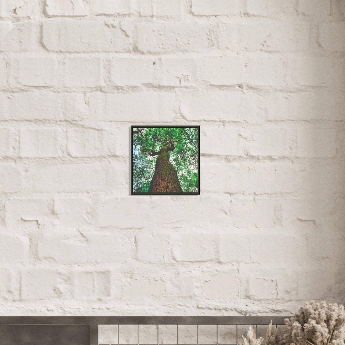 Three Eyes Tree Premium Mate Paper Metal Framed Dominican Wall Art Home Office Business Commercial Decor Pixio.Co - Pixio.Co