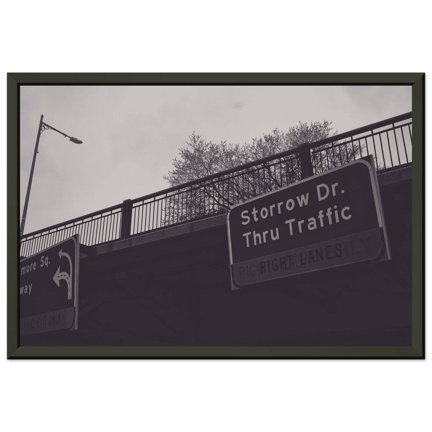 Boston Storrow Drive Black and White - Premium Matte Paper Metal Framed Poster - Pixio.Co
