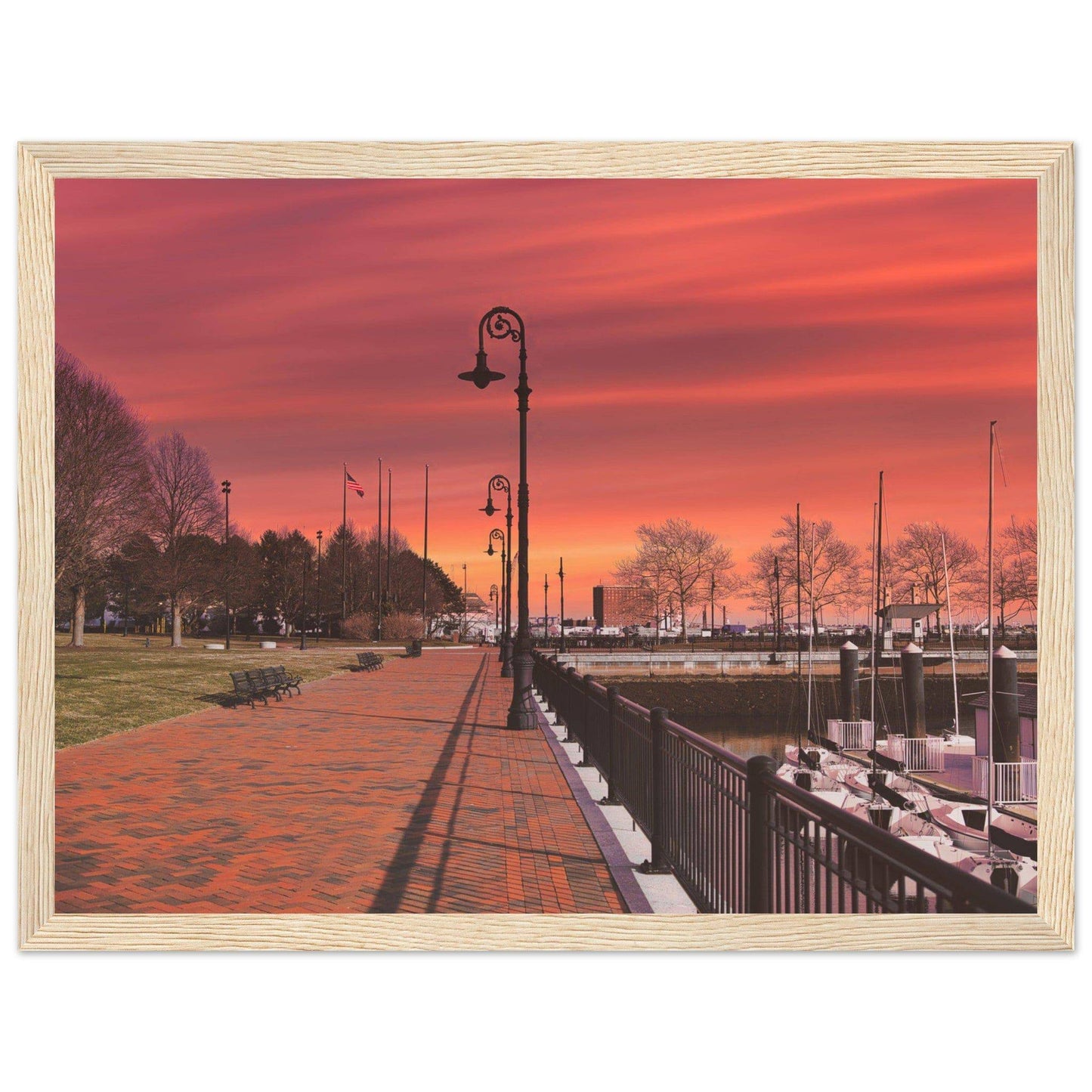 Scenic Park Tamarind Sky Matte Paper Wooden Frame New York City Wall Art Home Office Business Commercial Decor Pixio.Co - Pixio.Co