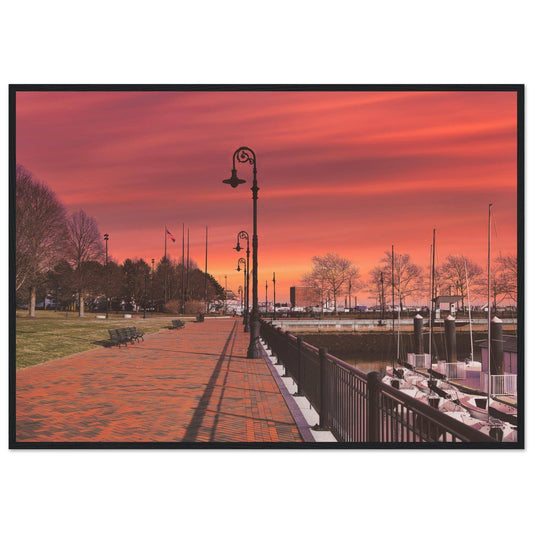 Scenic Park Tamarind Sky Matte Paper Wooden Frame New York City Wall Art Home Office Business Commercial Decor Pixio.Co - Pixio.Co