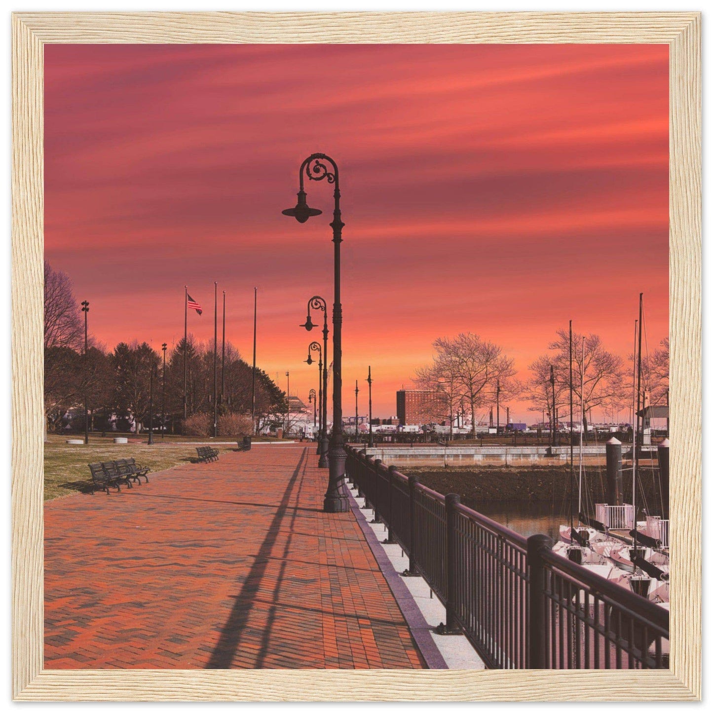 Scenic Park Tamarind Sky Matte Paper Wooden Frame New York City Wall Art Home Office Business Commercial Decor Pixio.Co - Pixio.Co