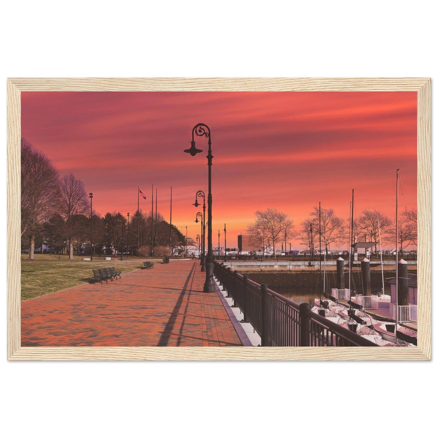 Scenic Park Tamarind Sky Matte Paper Wooden Frame New York City Wall Art Home Office Business Commercial Decor Pixio.Co - Pixio.Co