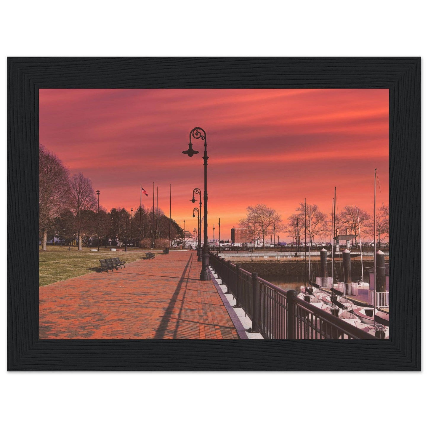 Scenic Park Tamarind Sky Matte Paper Wooden Frame New York City Wall Art Home Office Business Commercial Decor Pixio.Co - Pixio.Co