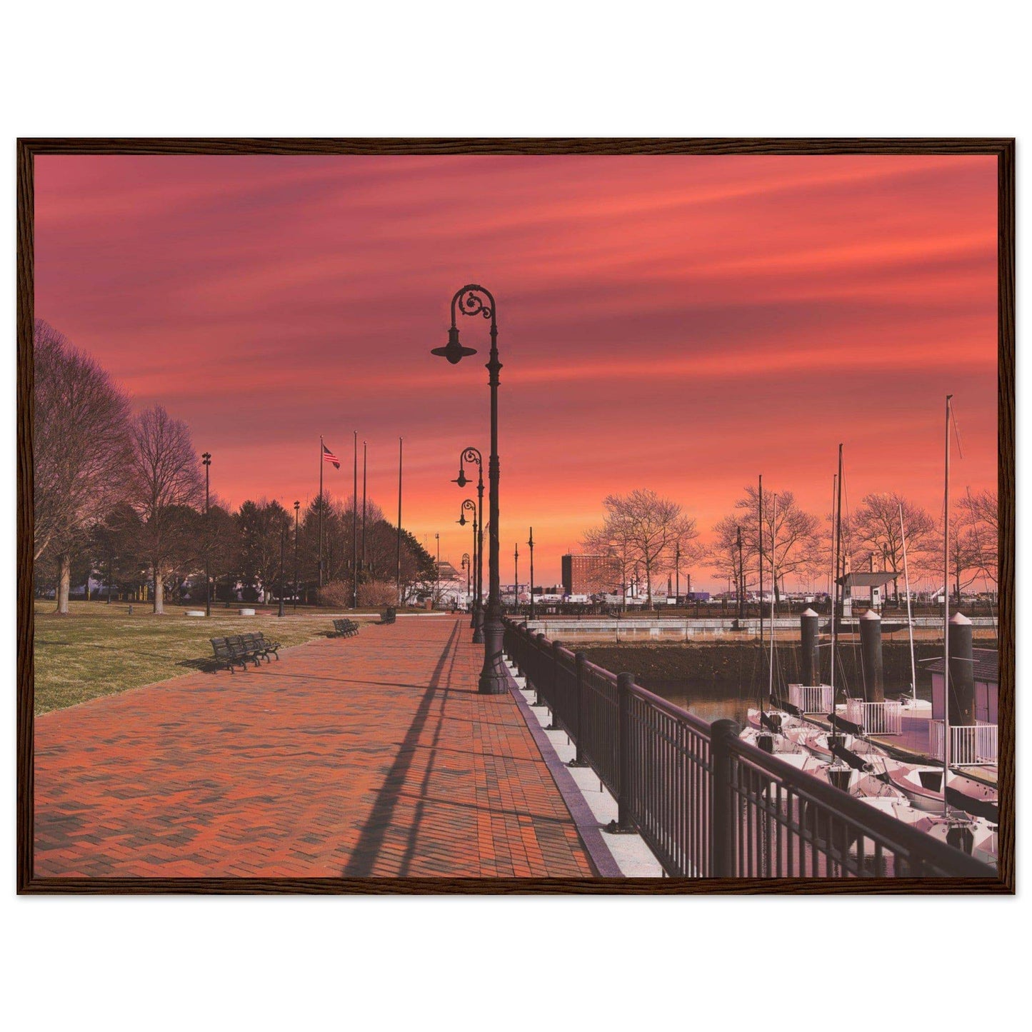 Scenic Park Tamarind Sky Matte Paper Wooden Frame New York City Wall Art Home Office Business Commercial Decor Pixio.Co - Pixio.Co