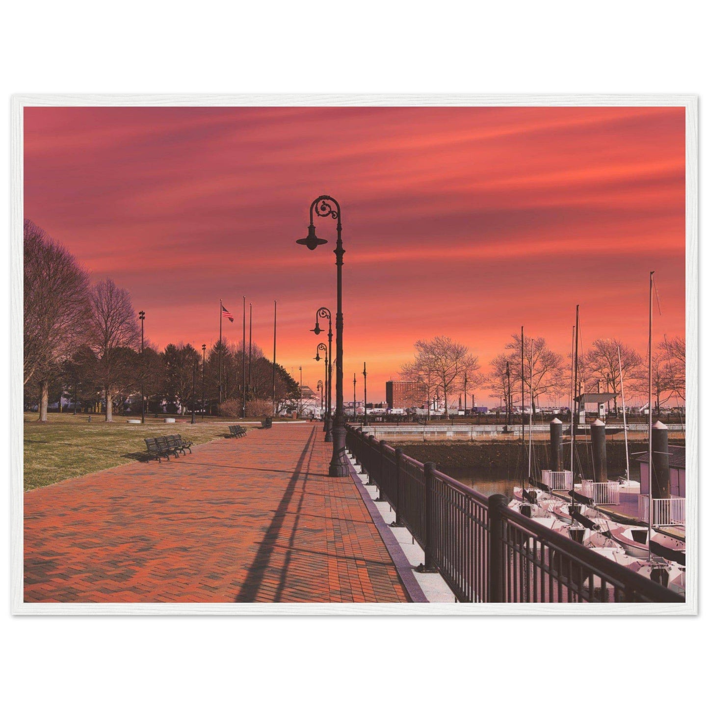 Scenic Park Tamarind Sky Matte Paper Wooden Frame New York City Wall Art Home Office Business Commercial Decor Pixio.Co - Pixio.Co