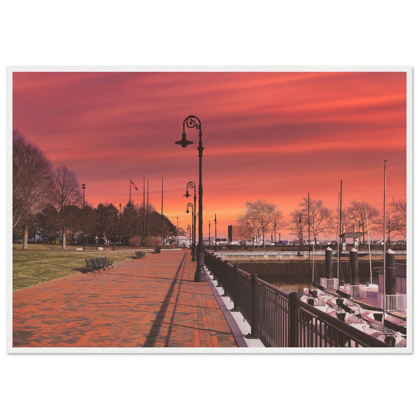 Scenic Park Tamarind Sky Matte Paper Wooden Frame New York City Wall Art Home Office Business Commercial Decor Pixio.Co - Pixio.Co