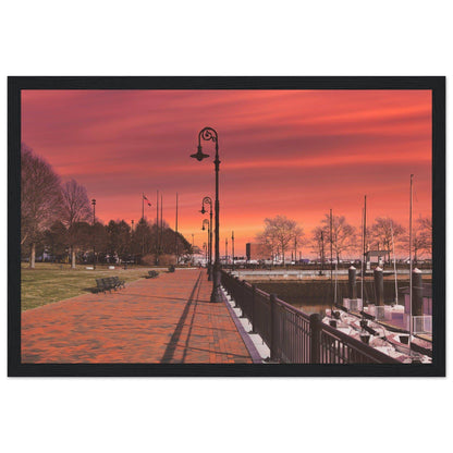 Scenic Park Tamarind Sky Matte Paper Wooden Frame New York City Wall Art Home Office Business Commercial Decor Pixio.Co - Pixio.Co