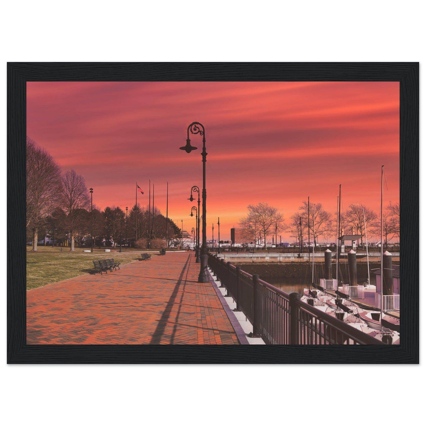 Scenic Park Tamarind Sky Matte Paper Wooden Frame New York City Wall Art Home Office Business Commercial Decor Pixio.Co - Pixio.Co