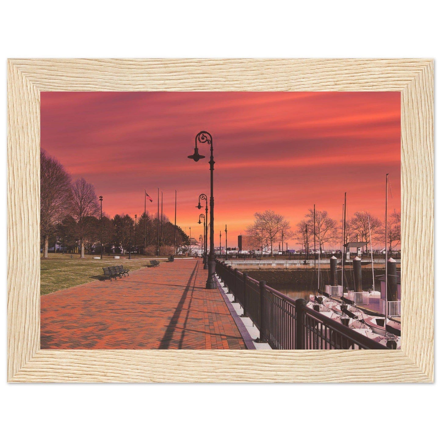 Scenic Park Tamarind Sky Matte Paper Wooden Frame New York City Wall Art Home Office Business Commercial Decor Pixio.Co - Pixio.Co