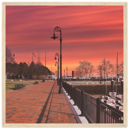 Scenic Park Tamarind Sky Matte Paper Wooden Frame New York City Wall Art Home Office Business Commercial Decor Pixio.Co - Pixio.Co