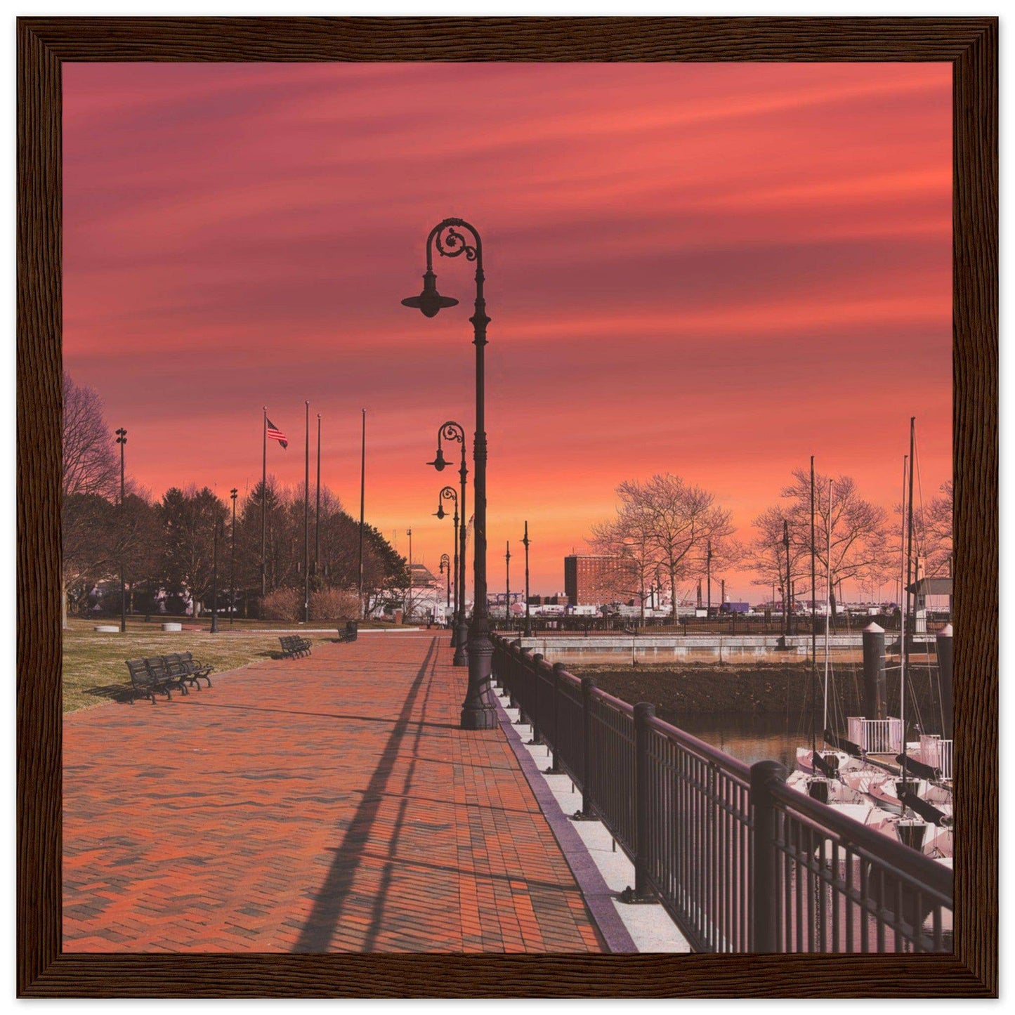 Scenic Park Tamarind Sky Matte Paper Wooden Frame New York City Wall Art Home Office Business Commercial Decor Pixio.Co - Pixio.Co