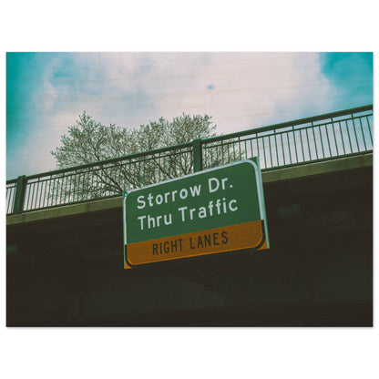 Boston Storrow Drive Wall Art