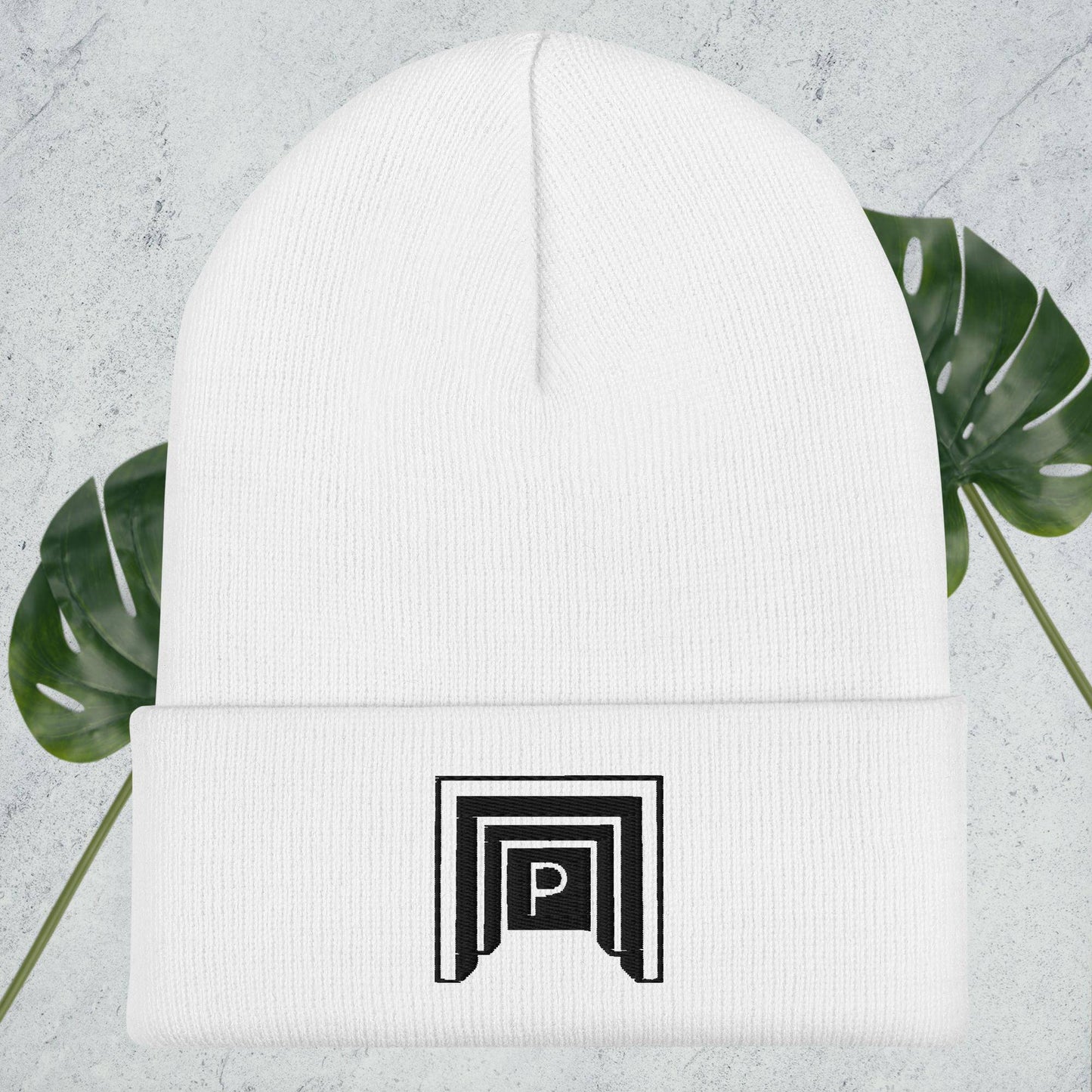 Pixio.Co Cuffed Beanie - Pixio.Co